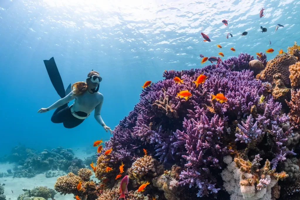 Adventure Travel and Activities Across the Globe: Unforgettable Experiences Await