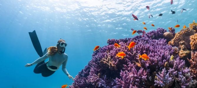 Adventure Travel and Activities Across the Globe: Unforgettable Experiences Await