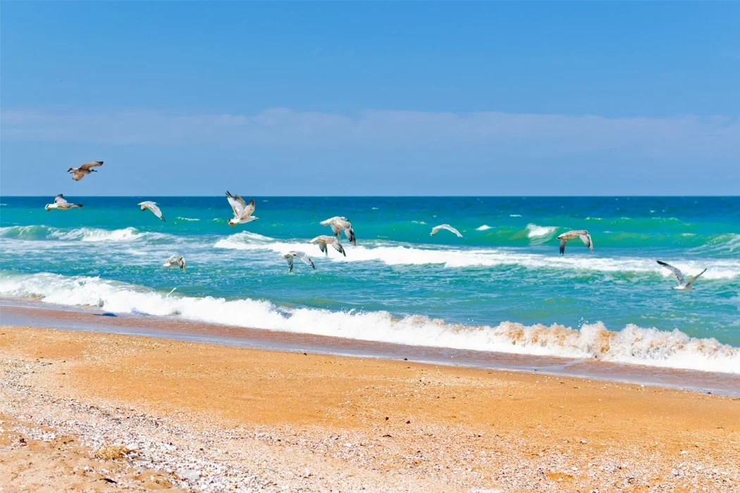 Best Coastal Excursions in Odessa: Top Seaside Adventures to Explore