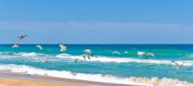 Best Coastal Excursions in Odessa: Top Seaside Adventures to Explore