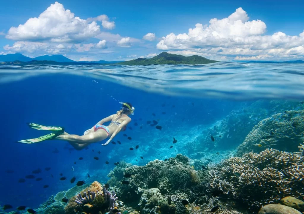 Best Scuba Diving in Raja Ampat, Indonesia: Top Dive Sites to Explore