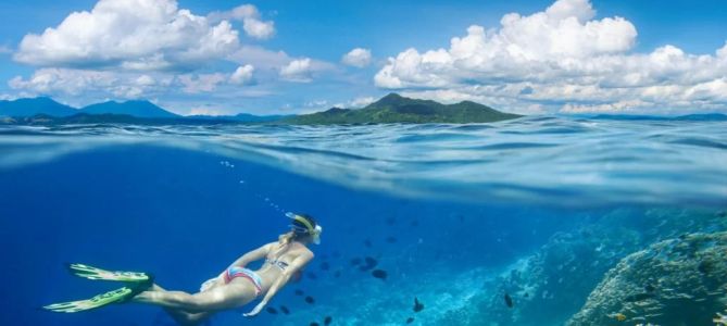 Best Scuba Diving in Raja Ampat, Indonesia: Top Dive Sites to Explore