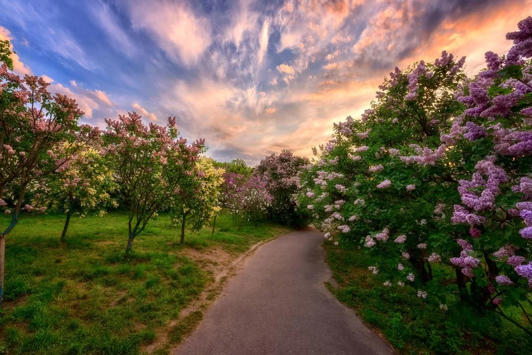 Discover the Botanical Garden Odessa: A Hidden Gem for Nature Lovers in Ukraine