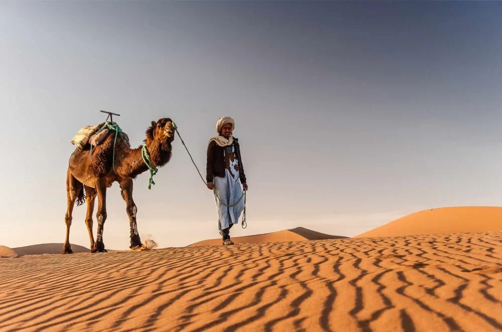 How to Explore the Sahara Desert by Camel: Your Ultimate Guide to Camel Trekking