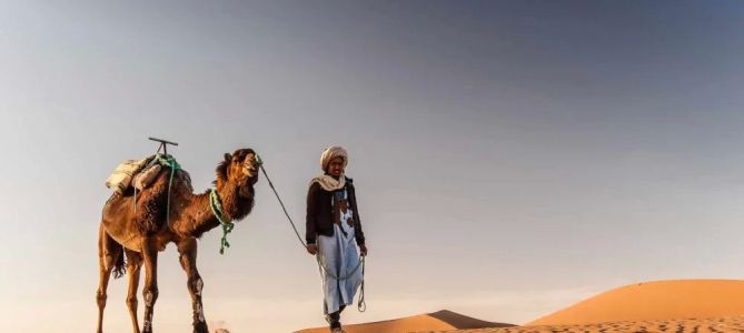 How to Explore the Sahara Desert by Camel: Your Ultimate Guide to Camel Trekking