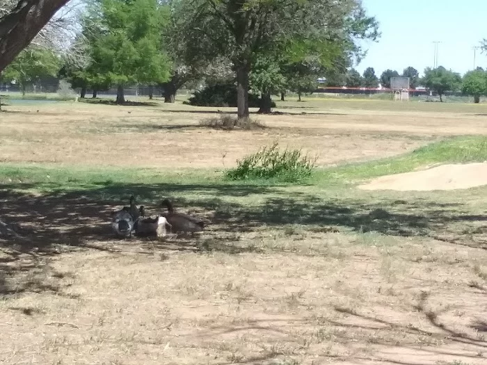 UTPB Duck Ponds - 1