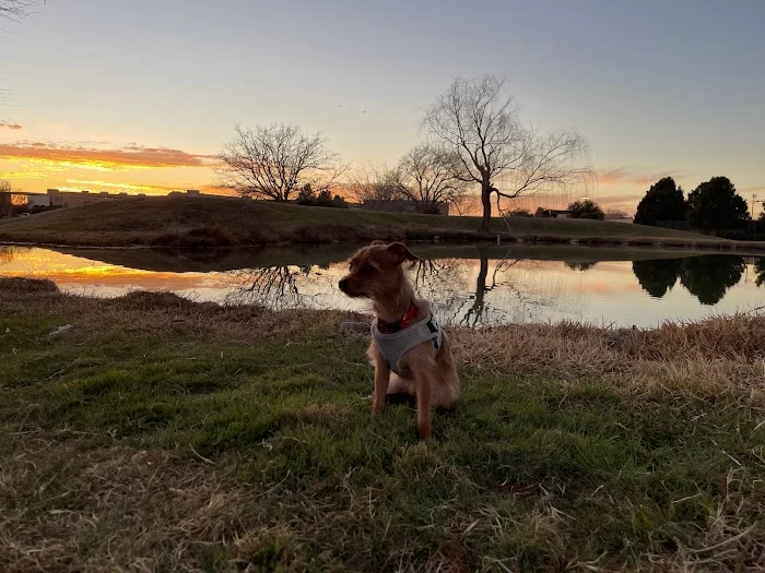 UTPB Duck Ponds - 4