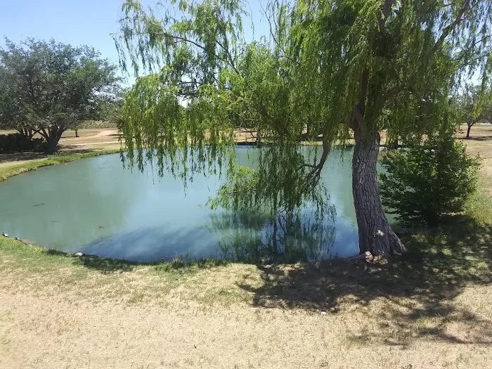 UTPB Duck Ponds - 3